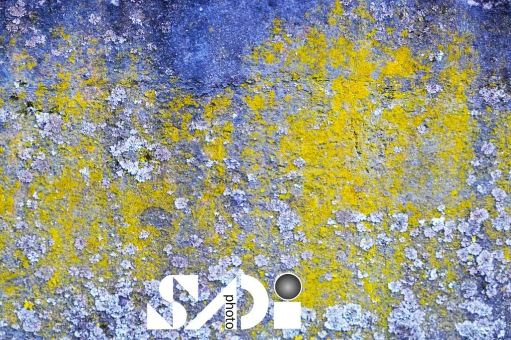 Abstrakte Kunst - Acrylglas Bild | Moderne Wandkunst Fotografie | Fine Photoart  | Kunstdruck auf Acrylglas