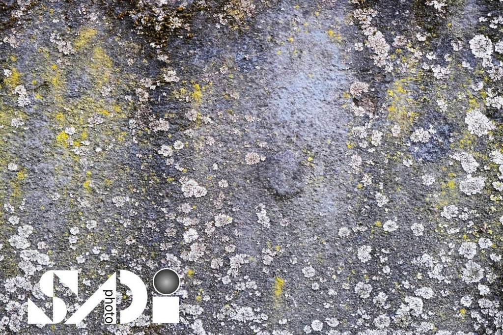 Abstrakte Fotografie auf Aluminium | Modernes Wandbild | Hochwertiger Alu-Druck I Aluminum Art  I Interior Design | Aluminum Printing