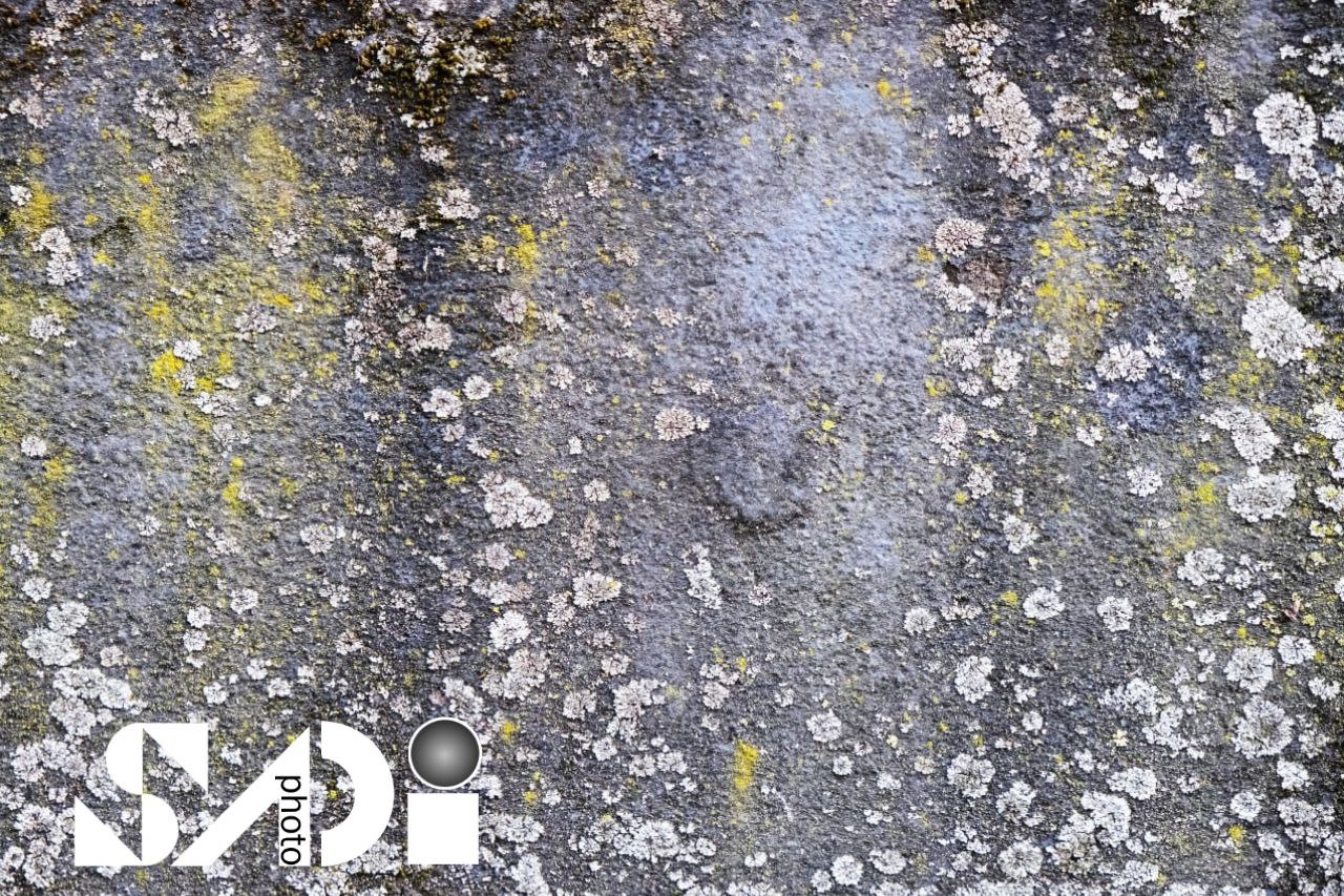 Abstrakte Fotografie auf Aluminium | Modernes Wandbild | Hochwertiger Alu-Druck I Aluminum Art  I Interior Design | Aluminum Printing